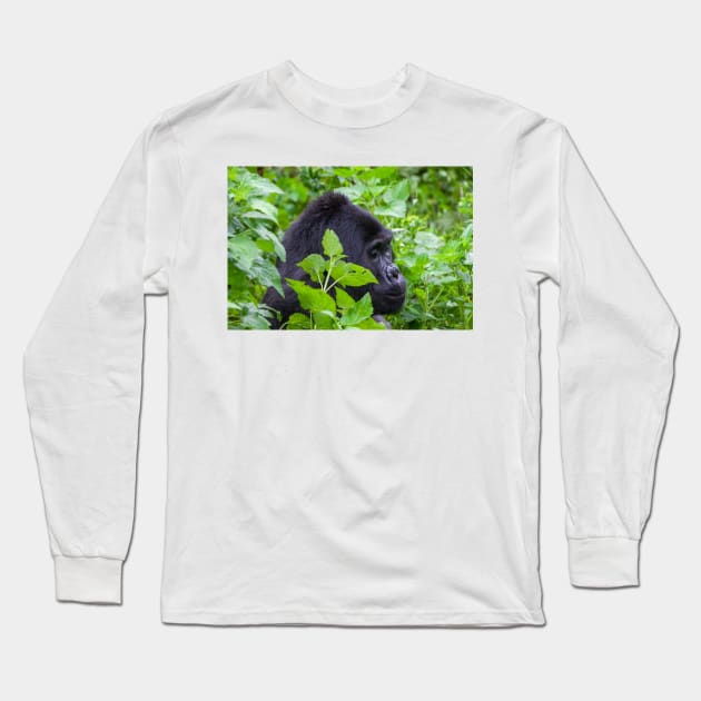 Wild Silverback Gorilla from Bwindi National Park, Uganda Long Sleeve T-Shirt by SafariByMarisa